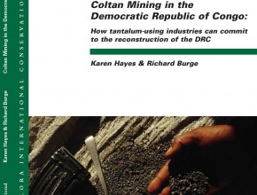Coltan Mining in the Democratic Republic of Congo: